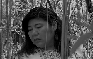 Imagen Celerina Sánchez, poeta mixteca